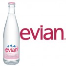 Evian 20x0,5l Kasten Glas 
